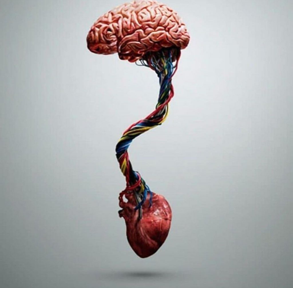 Harmonize heart and brain