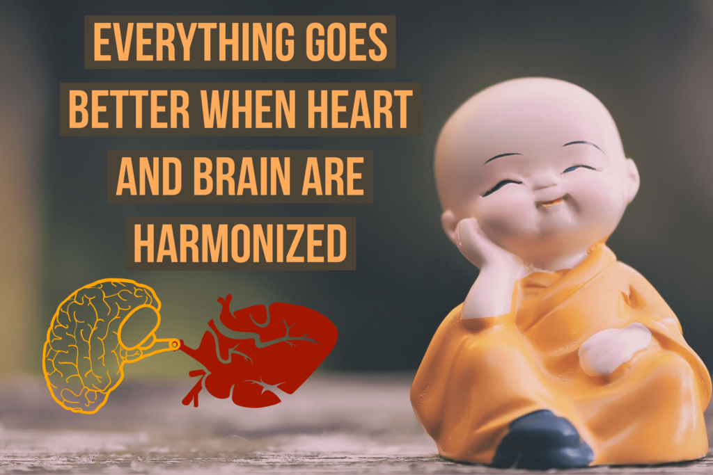 Heart and brain connection