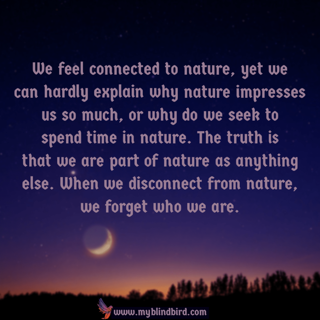 Beautiful Quotes on spirituality